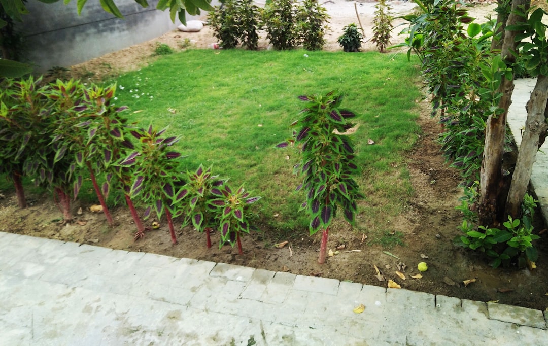 Mein schöner Garten: Freude und Entspannung im Grünen